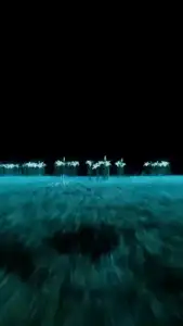 Lidar transition