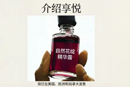 Image Translator: Translate Text Inside Any Image