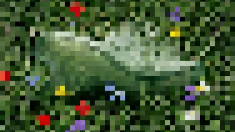 Use the Image Upscaler to Upscale Any Image in One Click