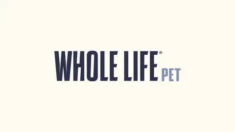 How Whole Life Pet scaled video marketing with Creatify